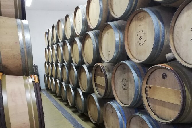 Private Full Day Douro Tour - Accessibility