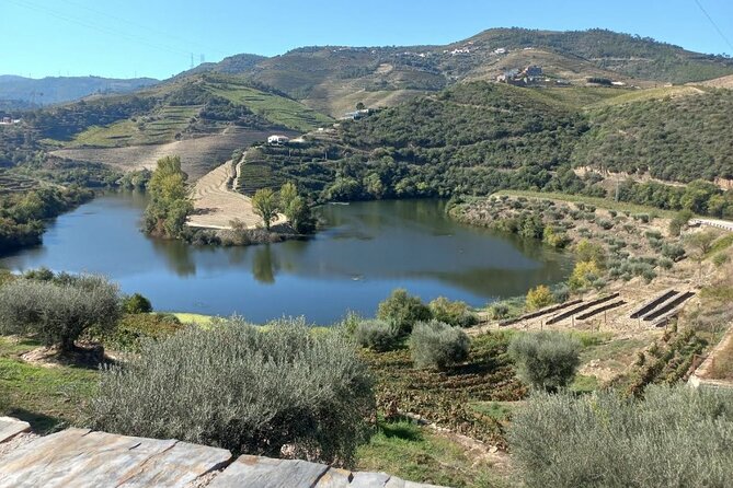 Private Full Day Douro Tour - The Douro Valley