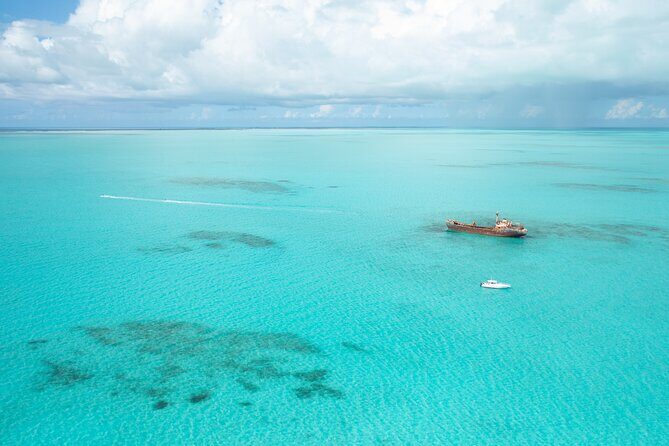 Private Full Day Fish, Snorkel and Cruise on Serendipity - What to Expect from Your Day on Serendipity