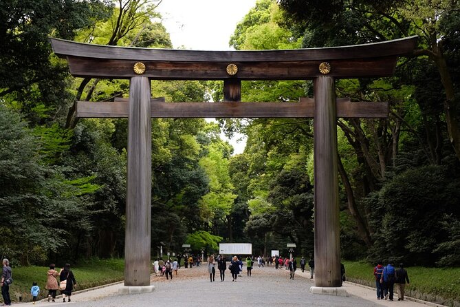 Private Full-Day Guided Tour in Tokyo: Customized Just for You - Key Points