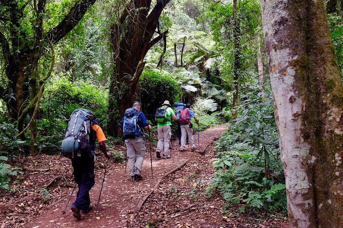 Private Full Day Hiking Experience to Marangu Route - Pickup and Transportation Details