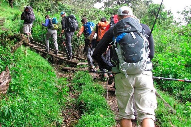 Private Full Day Hiking Experience to Marangu Route - Cancellation Policy