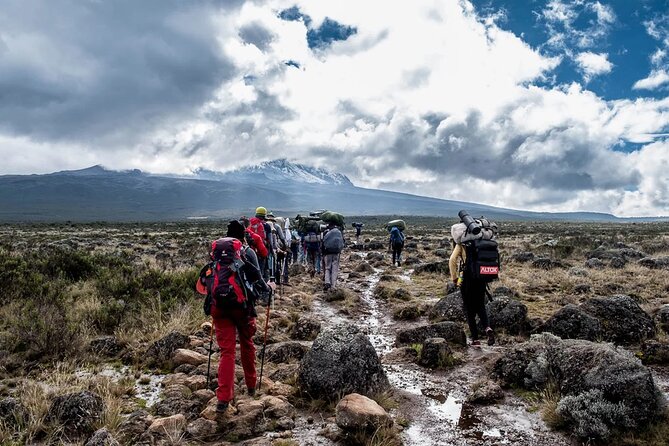 Private Full Day Hiking Experience to Marangu Route - Traveler Reviews and Recommendations