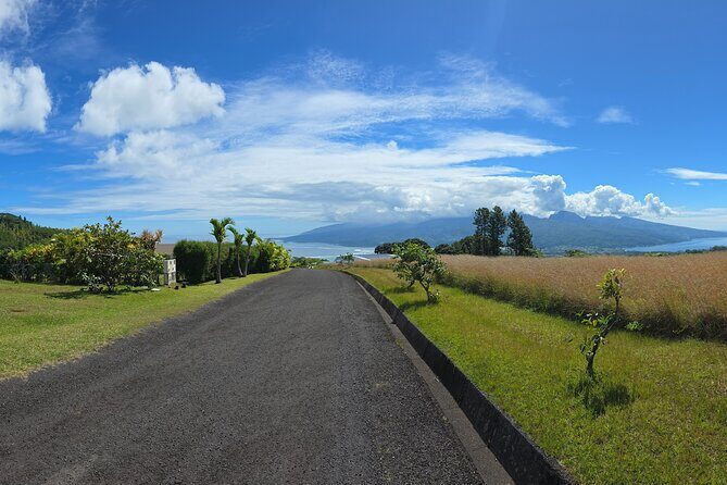 Private Full Day in Papeete and Tahiti Iti with Belveder Lookout - Who Is This Tour Best For?