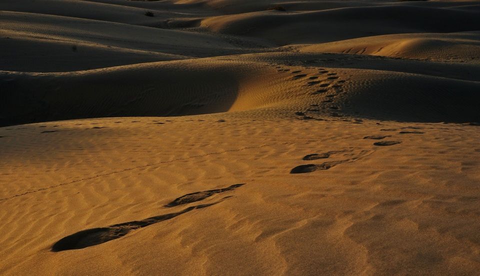 Private Full Day Jaisalmer City Tour (All-Inclusive) - Tips for Travelers