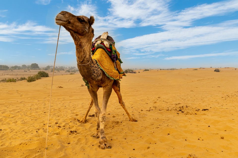 Private Full Day Jaisalmer City Tour (All-Inclusive) - Frequently Asked Questions