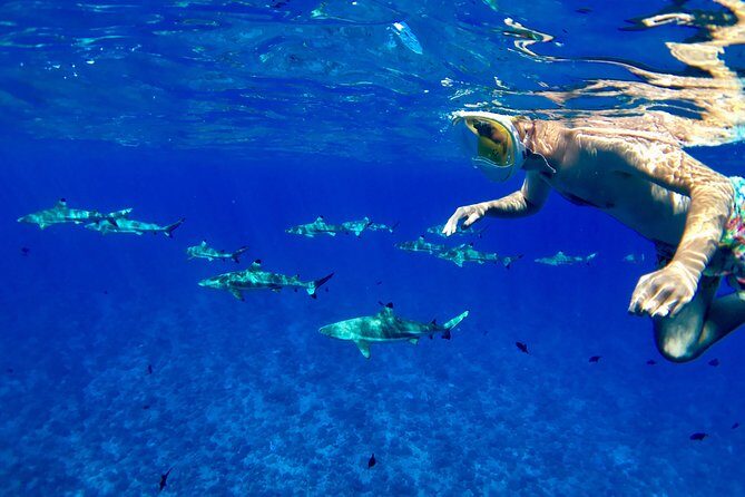 PRIVATE FULL DAY LAGOON TOUR - Bora Bora Cultural Lagoon Tour - A Detailed Look at the Bora Bora Cultural Lagoon Tour