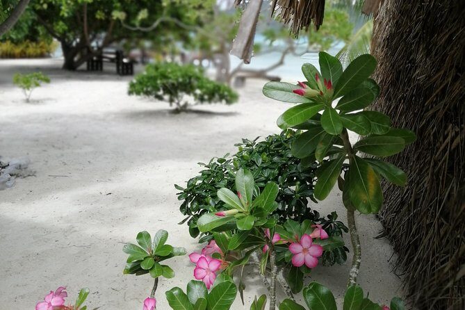 PRIVATE FULL DAY LAGOON TOUR - Bora Bora Cultural Lagoon Tour - The Sum Up