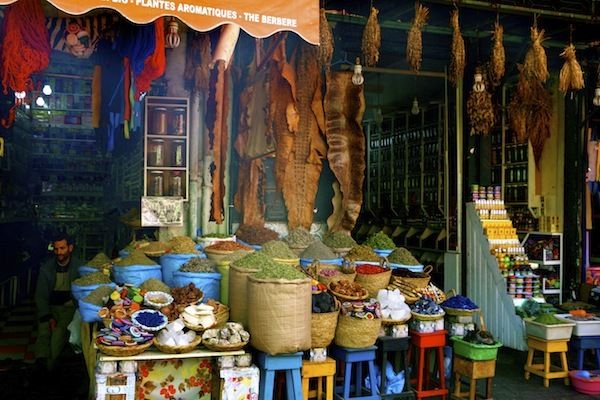 Private Full-Day Marrakech Trip From Agadir - Itinerary Highlights