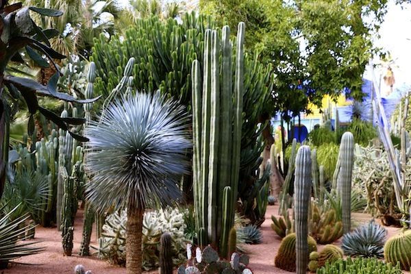 Private Full-Day Marrakech Trip From Agadir - Frequently Asked Questions