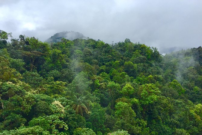 Private Full Day Mindo Tour From Quito - Cocoa Plantation Visit