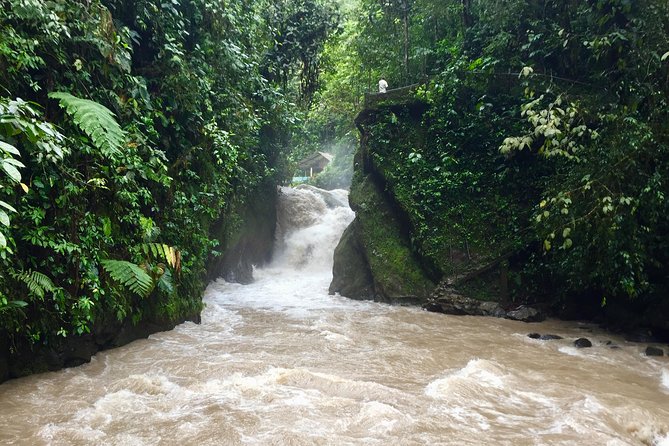 Private Full Day Mindo Tour From Quito - Important Considerations for Travelers
