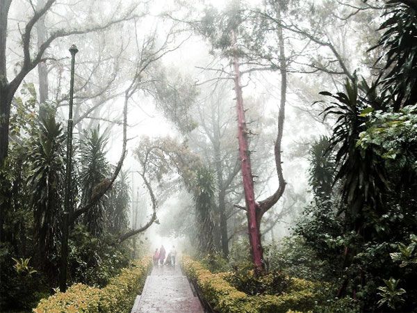 Private Full Day Nandi Hill Excursion With Lunch - Nearby Attractions to Explore