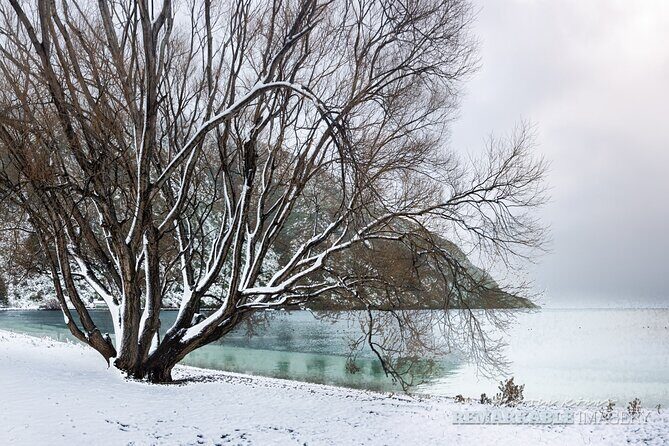 Private Full Day Photography Tour in Queenstown - Follow the Gold - Key Points