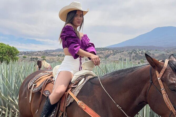 Private Full-Day Ruta del Tequila Tour: Safe & Expert-Guided - Who Should Consider This Tour?