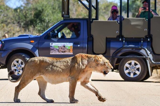 Private Full Day Safari L Kruger National Park From Hazyview or Skukuza - Good To Know