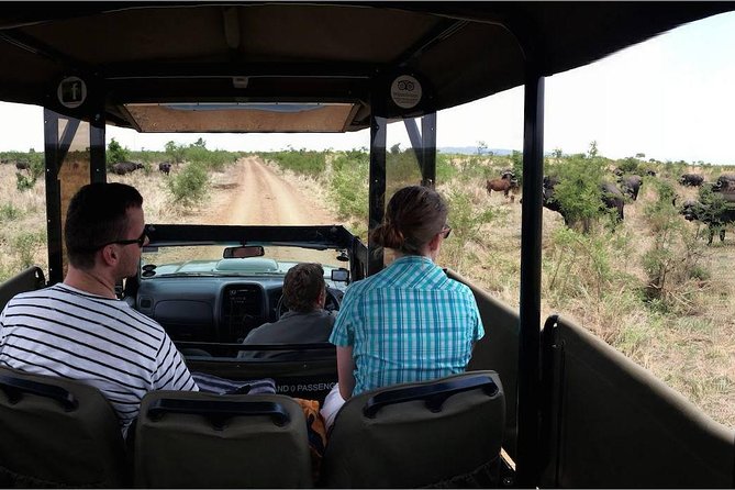 Private Full Day Safari L Kruger National Park From Hazyview or Skukuza - Inclusions and Costs of the Safari