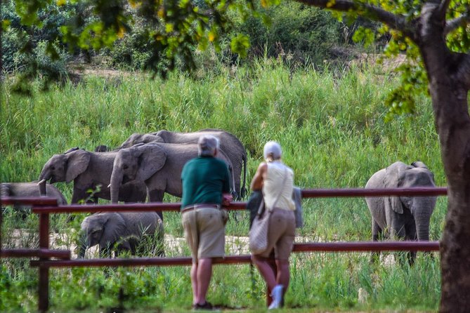 Private Full Day Safari L Kruger National Park From Hazyview or Skukuza - Suggestions for Improvement From Guests