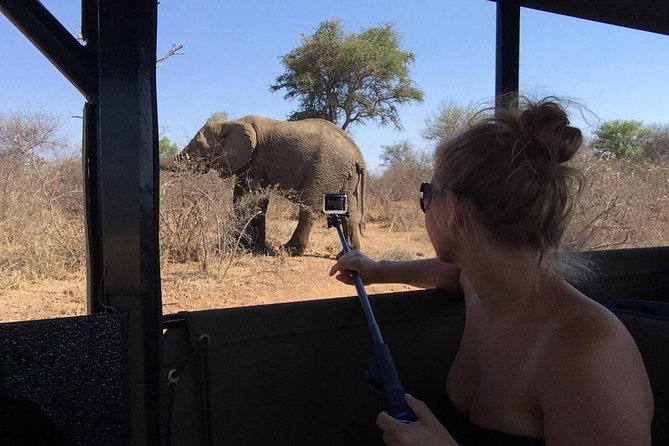 Private Full Day Safari L Kruger National Park From Hazyview or Skukuza - Standout Wildlife Sightings During Safari