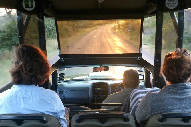 Private Full Day Safari L Kruger National Park From Hazyview or Skukuza - Convenient Departure and Pickup Locations