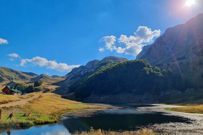 Private Full Day Safari Tour - Key Points