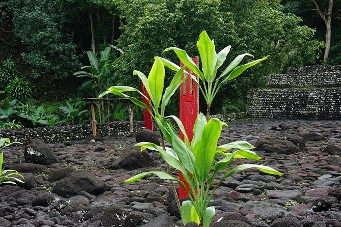 Private Full-Day Tahiti  Grotto, Gardens & Panoramas - Who Will Love This Tour?