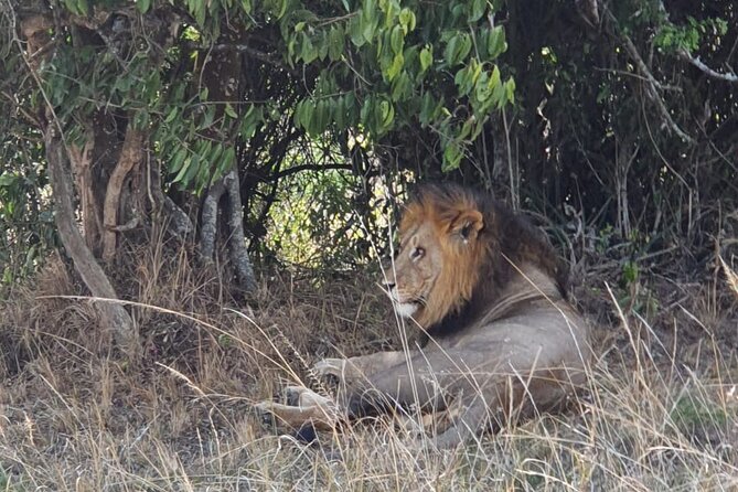Private Full-Day Tour Akagera Game Drive - Pricing, Cancellation, and Booking
