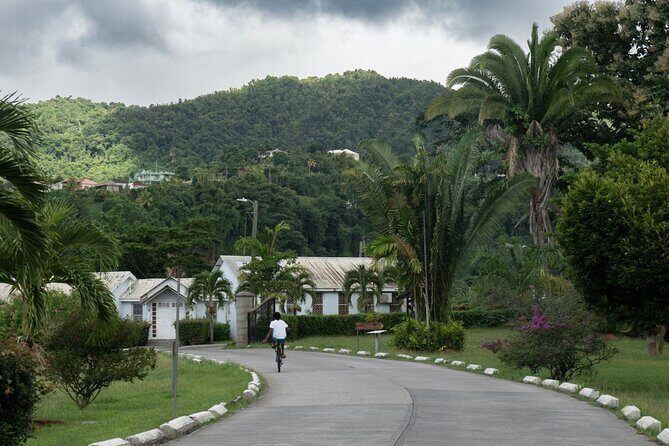 Private Full Day Tour Exploring and Tasting Roseau - What’s Included and What’s Not