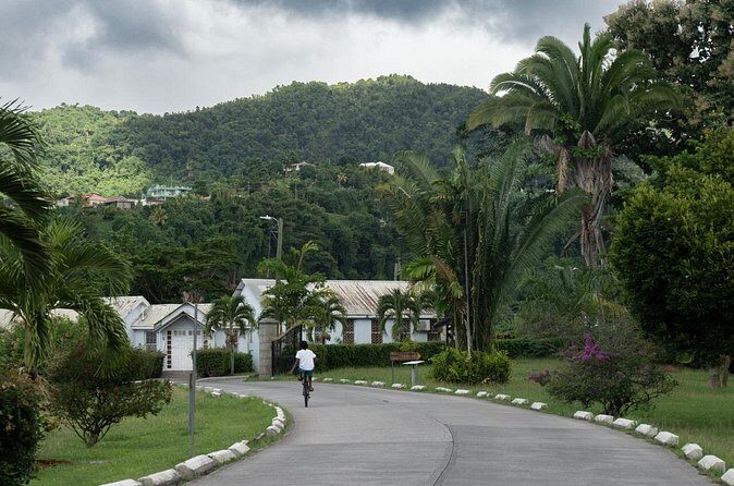 Private Full Day Tour Exploring and Tasting Roseau - Summary: Who Will Love This Tour?