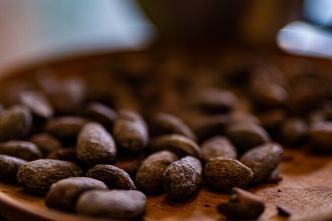 Private Full-day Tour in Grenada with Pickup - Comfort and Convenience