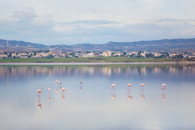Private Full-Day Tour in Larnaca With Hotel Pick up - Cancellation Policy