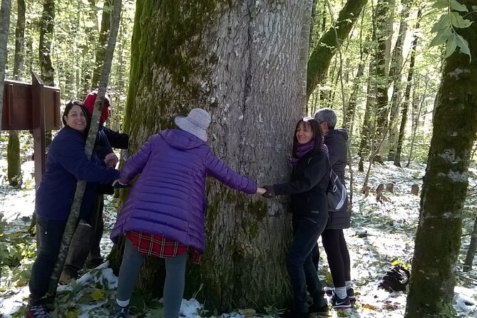 Private Full-Day Tour in Moraca and Tara Canyons, Durmitor & Biogradska Gora NP - Tour Logistics