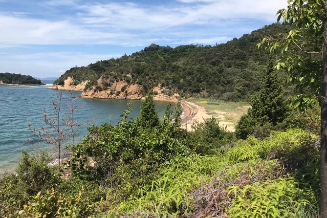 Private Full Day Tour in Naoshima Island for JR Pass Holder Only - Transportation and Accessibility