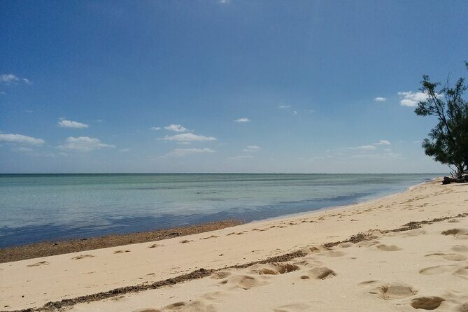 Private Full Day Tour in Nassau - FAQ