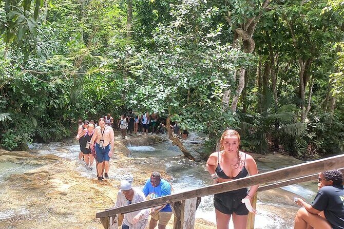 Private Full-Day Tour in Ocho Rios from Montego Bay - Who Will Love This Tour?