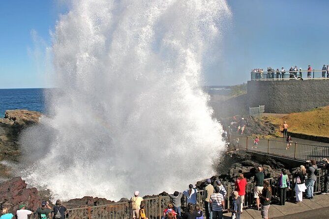 Private Full-Day Tour in Sydney - How the Experience Adds Up