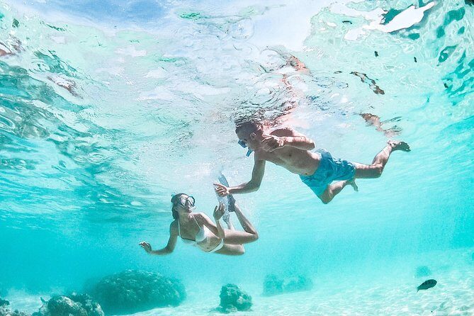 PRIVATE Full Day Tour : Moorea Snorkeling & Sailing on a Catamaran named Taboo - FAQs