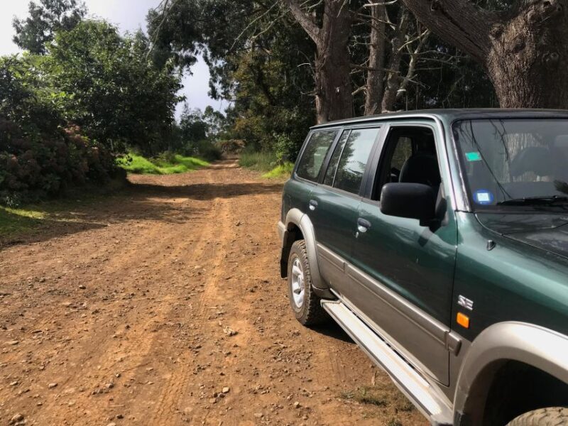 Private Full-Day Tour of North Coast and Laurissilva Forest - The Value of a Private Tour in Madeira