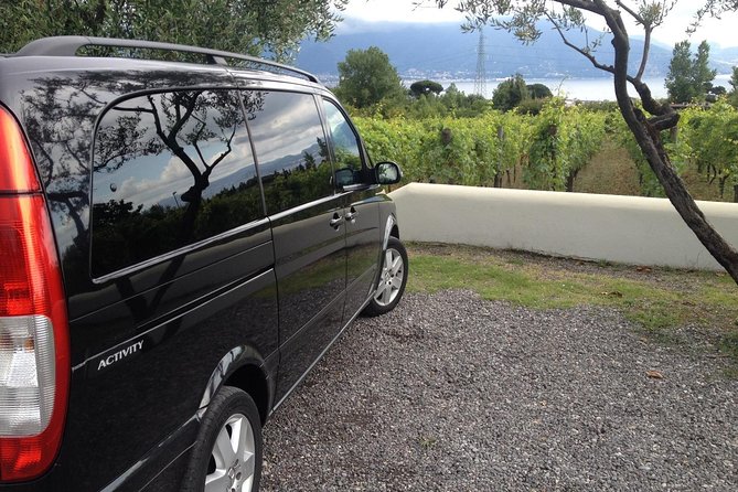 Private Full-Day Tour of Pompei Sorrento and Positano - Pickup and Meeting Points