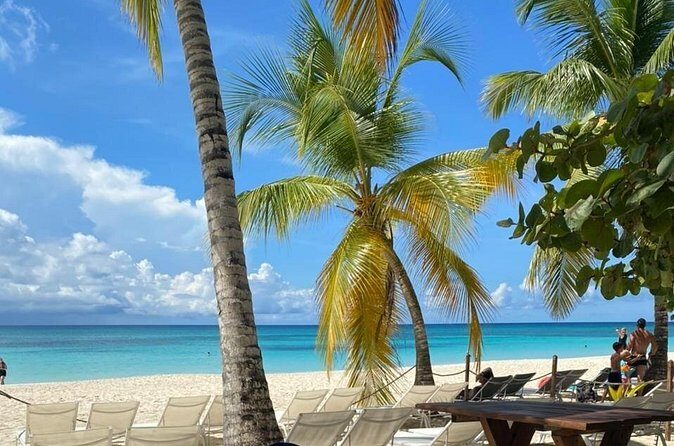 Private Full Day Tour of Punta Cana - Authentic Experiences and Guide Quality