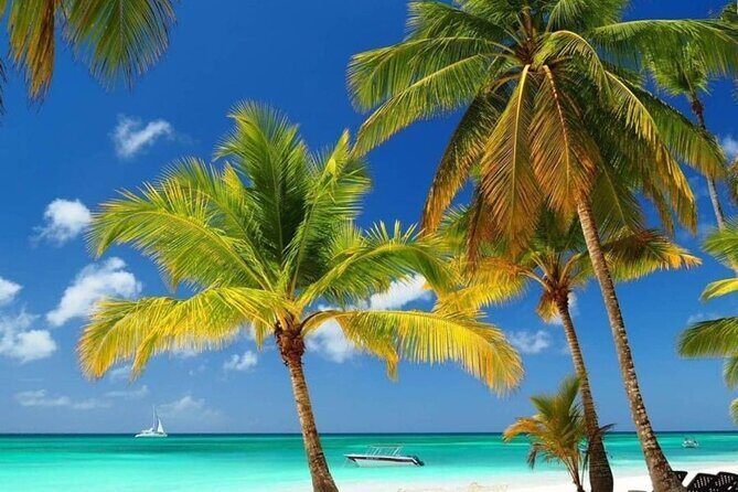 Private Full Day Tour of Punta Cana - FAQ Section