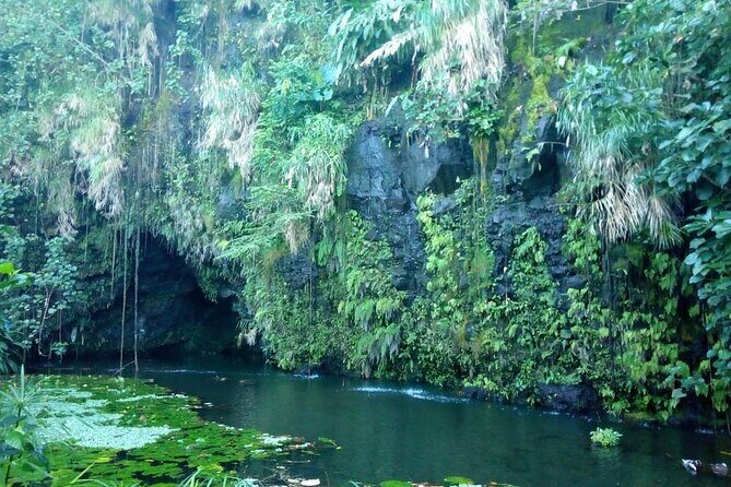 Private Full Day Tour of Tahiti - The Sum Up