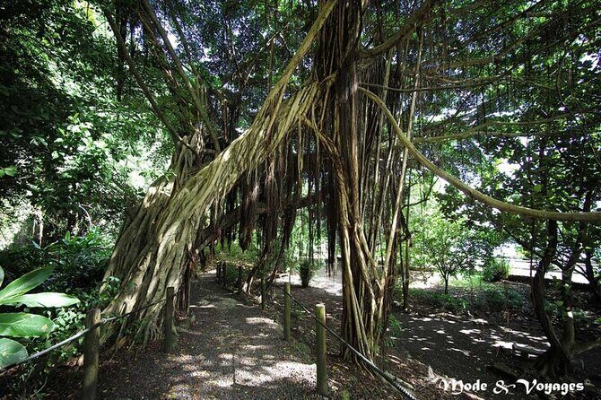 Private Full Day Tour of Tahiti - FAQs