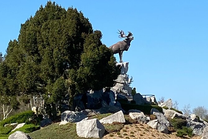 Private Full Day Tour of the Somme Battlefields - Inclusions and Logistics