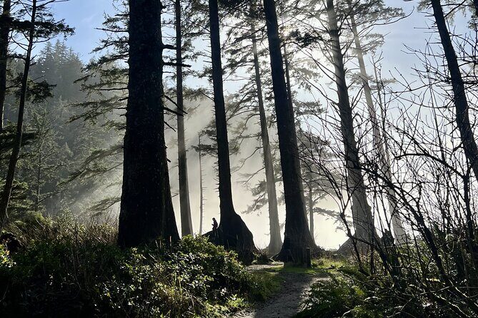 Private Full Day Tour Oregon Coast - Frequently Asked Questions