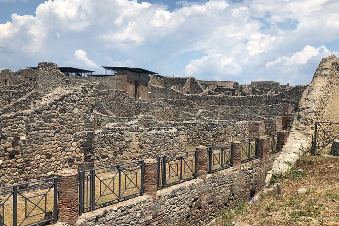 Private Full Day Tour Ruins of Pompei and Wine Tasting Experience - Policies and Conditions