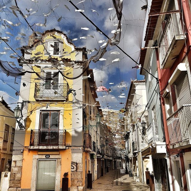 Private Full Day Tour Setubal - An In-Depth Look at the Tour Experience