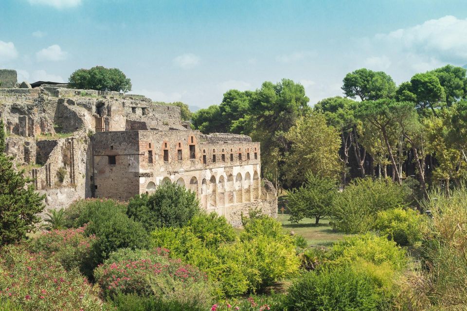 Private Full Day Tour Sorrento Coast and Herculaneum by Car - Optional Visit to Villas