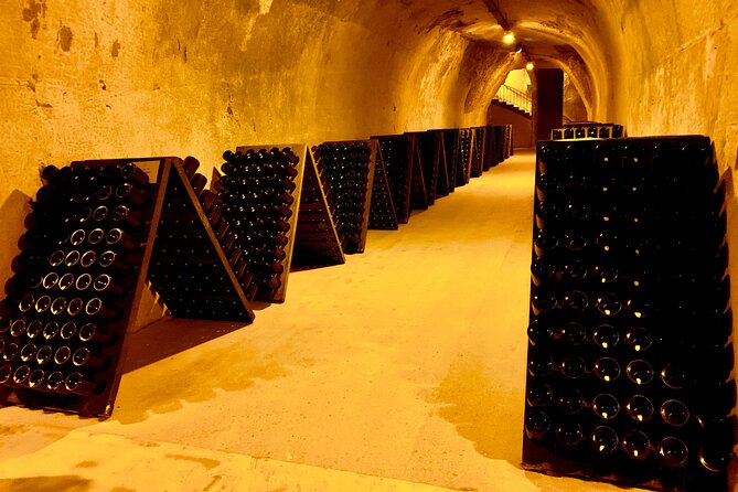 Private Full Day Tour to Champagne From Paris, Visit of 2 Champagne Producers - Health and Safety Information
