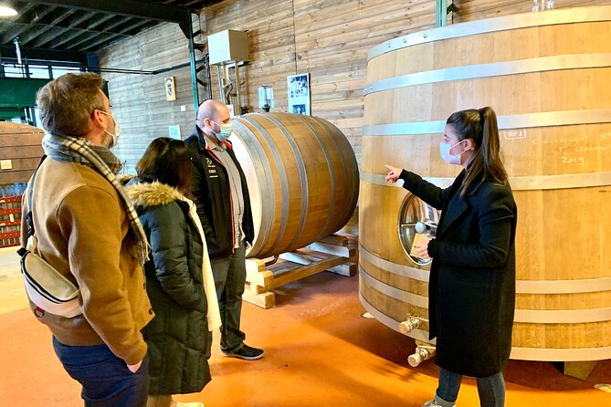 Private Full Day Tour to Champagne From Paris, Visit of 2 Champagne Producers - Tasting Champagnes at Michel Fagot